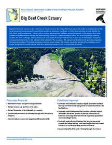 PUGET SOUND NEARSHORE ECOSYSTEM RESTORATION PROJECT (PSNERP) POTENTIAL RESTORATION SITES Big Beef Creek Estuary  IMAGE: Washington State Department of Ecology (2006)