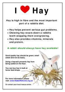 I  Hay Hay is high in fibre and the most important part of a rabbits diet.