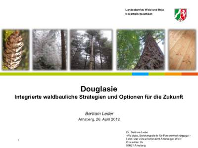 Landesbetrieb Wald und Holz Nordrhein-Westfalen WSL)  Douglasie