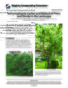 PublicationBotryosphaeria Canker and Dieback of Trees and Shrubs in the Landscape Elizabeth A. Bush, Extension Plant Pathologist, Department of Plant Pathology, Physiology, and Weed Science, College of Agricult