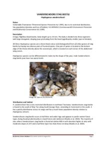VANDERSCHOORS STAG BEETLE Hoplogonus vanderschoori Status Vulnerable (Tasmanian Threatened Species Protection Act 1995), due to its restricted distribution, low population densities and loss of habitat; VULNERABLE (Commo