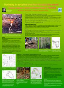 Tasmania / Forest / Sclerophyll / Biogeography / Thismia / Systems ecology / Mediterranean forests /  woodlands /  and scrub