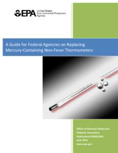 Replacing Mercury-Containing Non-Fever Thermometers:           A A A Guide for