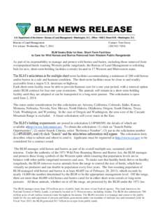 Wild Horse Bids for BLM Short term facilities