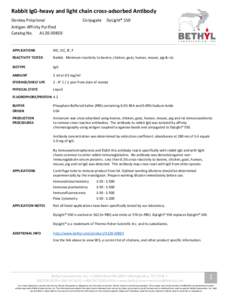 Rabbit IgG-heavy and light chain cross-adsorbed Antibody Donkey Polyclonal Conjugate  DyLight® 550