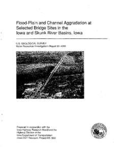 Flood-Plain and Channel Aggradation at Selected Bridge Sites in the lowa and Skunk River Basins, lowa U.S. GEOLOGICAL SURVEY Water-Resources investigations Report[removed]