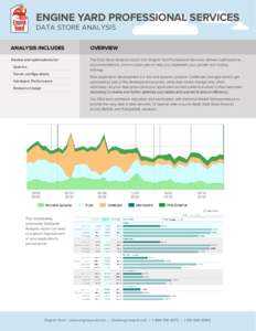 ENGINE YARD PROFESSIONAL SERVICES DATA STORE ANALYSIS ANALYSIS INCLUDES OVERVIEW