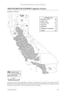 Ornithology / Tricolored Heron / Birds of North America / Yellow-headed Blackbird / Icteridae / Tricolored Blackbird / Taxonomy