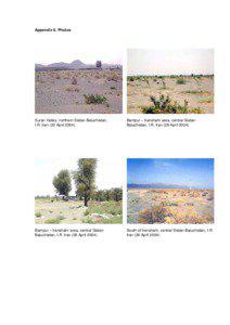 Appendix 6. Photos  Suran Valley, northern Sistan-Baluchistan,