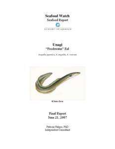 Seafood Watch Seafood Report Unagi “Freshwater” Eel Anguilla japonica, A. anguilla, A. rostrata