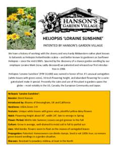 HELIOPSIS ‘LORAINE SUNSHINE’ PATENTED BY HANSON’S GARDEN VILLAGE We have a history of working with the cheery and very hardy Midwestern native plant known to botanists as Heliopsis helianthoides scabra – and bett