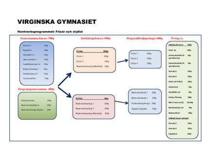 VIRGINSKA GYMNASIET Hantverksprogrammet: Frisör och stylist Gemensamma kurser 700p Svenska 1  100p