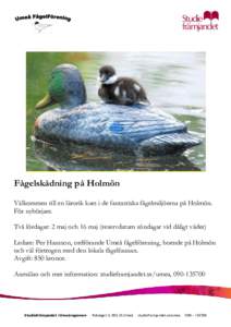 Fågelskådning på Holmön Välkommen till en lärorik kurs i de fantastiska fågelmiljöerna på Holmön. För nybörjare. Två lördagar: 2 maj och 16 maj (reservdatum söndagar vid dåligt väder) Ledare: Per Hansson