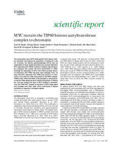 Epigenetics / Gene expression / Proteins / Myc / Transformation/transcription domain-associated protein / PCAF / Histone H4 / Chromatin immunoprecipitation / Chromatin / Biology / Genetics / Transcription factors