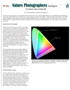 Color Spaces: Beyond Adobe RGB Text and photography copyright Matt Hagadorn Choosing a color space for your images can be confusing when you’re new to digital imaging. You’ve probably been told that you should use Ad