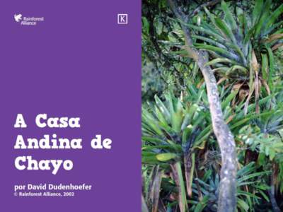 Olá! Eu sou Chayo. Meu nome de verdade é Rosário, mas todos me chamam Chayo. Eu moro em Rio Negro, Colômbia. Rio Negro fica nas montanhas dos Andes, mas não muito alto. Fica entre as cidades de El Encino e o Parque