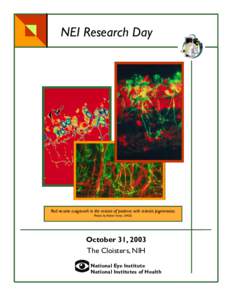 NEI Research Day  Rod neurite outgrowth in the retinas of patients with retinitis pigmentosa. Photos by Robert Fariss, LMOD  October 31, 2003