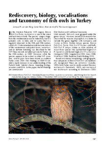 Rediscovery, biology, vocalisations and taxonomy of fish owls in Turkey