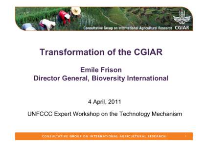 Transformation of the CGIAR Emile Frison Director General, Bioversity International 4 April, 2011 UNFCCC Expert Workshop on the Technology Mechanism