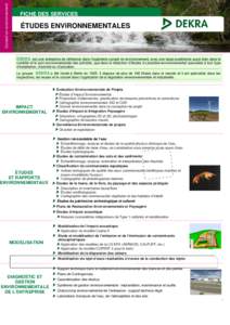 Microsoft Word - Ficha servicio CONSULTORIA traducida al francés
