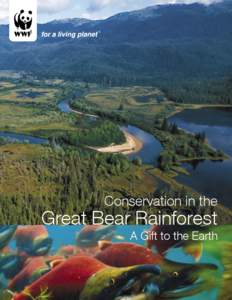 Conservation in the  Great Bear Rainforest