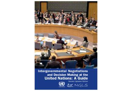 Intergovernmental Negotiations and Decision Making at the United Nations: A Guide Second Updated Edition