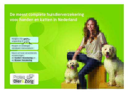 De meest complete huisdierverzekering voor honden en katten in Nederland Hoogste maximale vergoeding eHeupen en Ellebogen