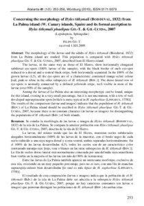 Concerning the morphology of Hyles tithymali (BOISDUVAL, 1832) from La Palma island (W. Canary islands, Spain) and its formal ascription to Hyles tithymali phaelipae GIL-T. & GIL-UCEDA, 2007