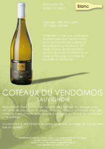 COTEAUX DU VENDOMOIS - Sauvignon