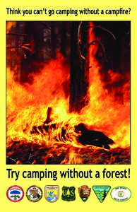 Think you can’t go camping without a campﬁre?  TTry camping without a forest! 