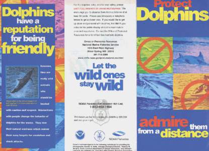 Protect Dolphins Campaign brochure