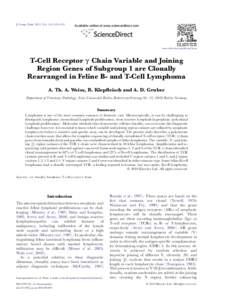 T-Cell Receptor &gamma; Chain Variable and Joining Region Genes of Subgroup 1 are Clonally Rearranged in Feline B- and T-Cell Lymphoma