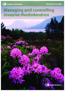 Rhododendron ponticum / Rhododendron / Seed / Rhododendron catawbiense / Rhododendron luteum / Flora of the United States / Flora / Flora of Pakistan
