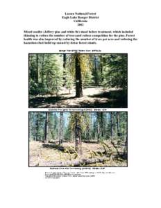 Lassen National Forest Eagle Lake Ranger District California 2002 Mixed conifer (Jeffery pine and white fir) stand before treatment, which included thinning to reduce the number of trees and reduce competition for the pi