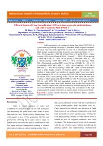 17. Effect of system of crop intensification - Daisy