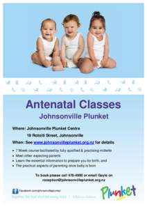 Antenatal Classes Johnsonville Plunket Where: Johnsonville Plunket Centre 19 Rotoiti Street, Johnsonville When: See www.johnsonvilleplunket.org.nz for details 