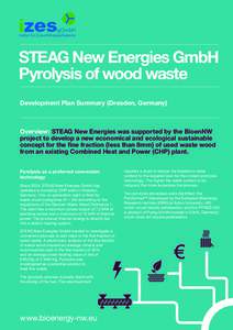 STEAG New Energies GmbH Pyrolysis of wood waste Development Plan Summary (Dresden, Germany) Overview: STEAG New Energies was supported by the BioenNW project to develop a new economical and ecological sustainable