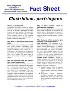 Microsoft Word - Clostridium perfringens.doc