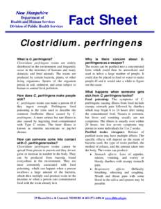 Clostridiaceae / Gram-positive bacteria / Infectious diseases / Clostridium perfringens / Food safety / Foodborne illness / Clostridium / Clostridial necrotizing enteritis / Toxin / Bacteria / Microbiology / Biology