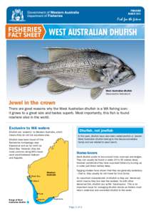Glaucosomatidae / Fisheries science / Otolith / Fisheries management / Overfishing / Fish / Fauna of Western Australia / Glaucosoma hebraicum