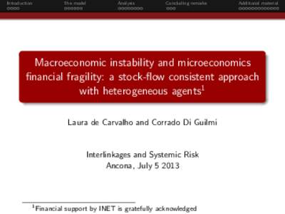 Macroeconomic instability and microeconomics financial fragility: a stock-flow consistent approach with heterogeneous agents=1Financial support by INET is gratefully acknowledged