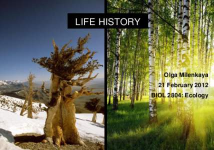 LIFE HISTORY  Olga Milenkaya 21 February 2012 BIOL 2804: Ecology