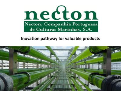 Inovation pathway for valuable products  Summary  From the original idea in 1991 to company establishment in 1997