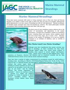 Marine Mammal Strandings Marine Mammal Strandings When dead marine mammals drift ashore or living mammals swim or float onto shore and become beached or are unable to return to the water on their own, they are said to be