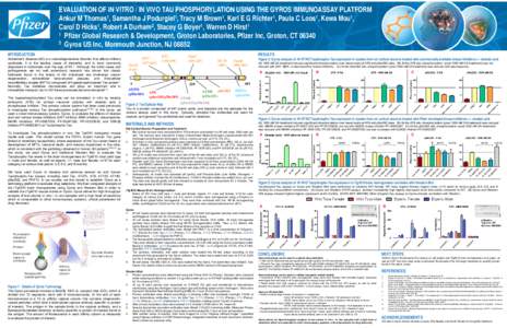 EVALUATION OF IN VITRO / IN VIVO TAU PHOSPHORYLATION USING THE GYROS IMMUNOASSAY PLATFORM Ankur M Thomas1, Samantha J Podurgiel g 1, Tracyy M Brown1, Karl E G Richter1, Paula C Loos1, Kewa Mou1, Carol D Hicks1, Robert A 