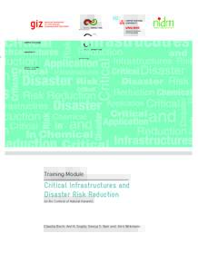 Critical Infrastructures and Disaster Risk Reduction 46.cdr