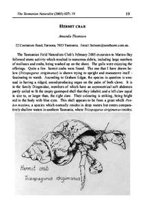 Diogenidae / Taroona /  Tasmania / Crab / Hermit crabs / Phyla / Protostome
