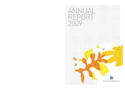 Annual Report 2009 Our vision is to minimise suffering in women due