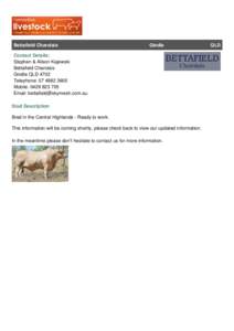 Bettafield Charolais  Gindle Contact Details: Stephen & Alison Kajewski