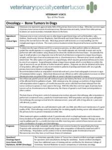 VETERINARY VOICE: Tips of the Trade Oncology – Bone Tumors In Dogs Definition